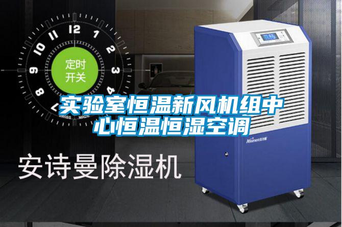 實驗室恒溫新風(fēng)機組中心恒溫恒濕空調(diào)