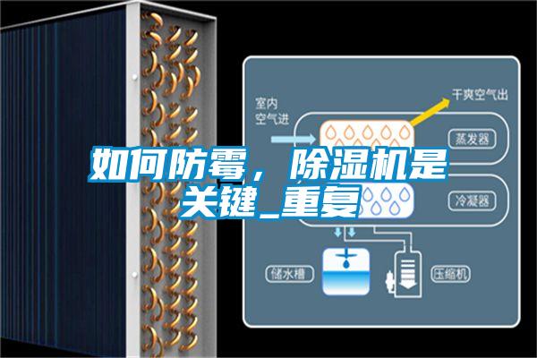 如何防霉，除濕機是關(guān)鍵_重復