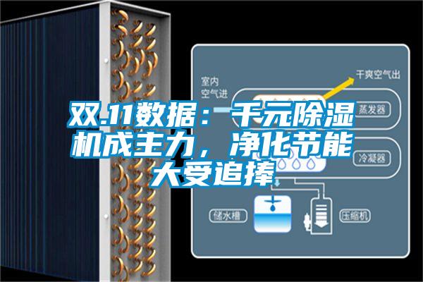雙.11數(shù)據(jù)：千元除濕機(jī)成主力，凈化節(jié)能大受追捧