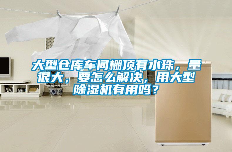 大型倉庫車間棚頂有水珠，量很大，要怎么解決，用大型除濕機(jī)有用嗎？