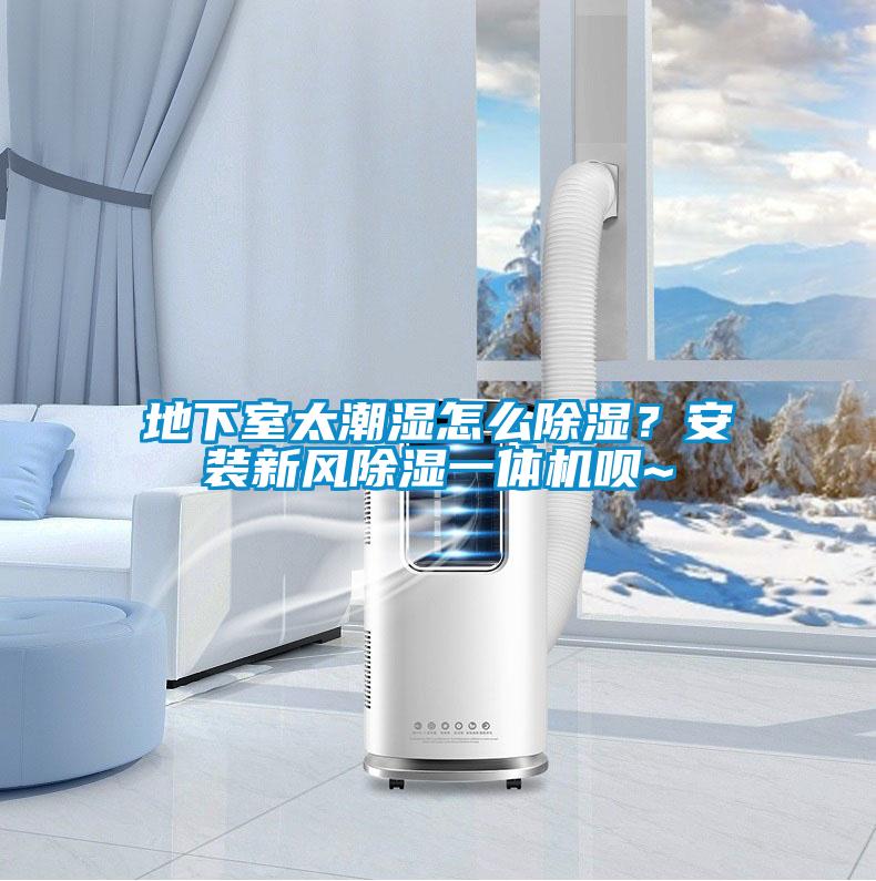 地下室太潮濕怎么除濕？安裝新風(fēng)除濕一體機唄~