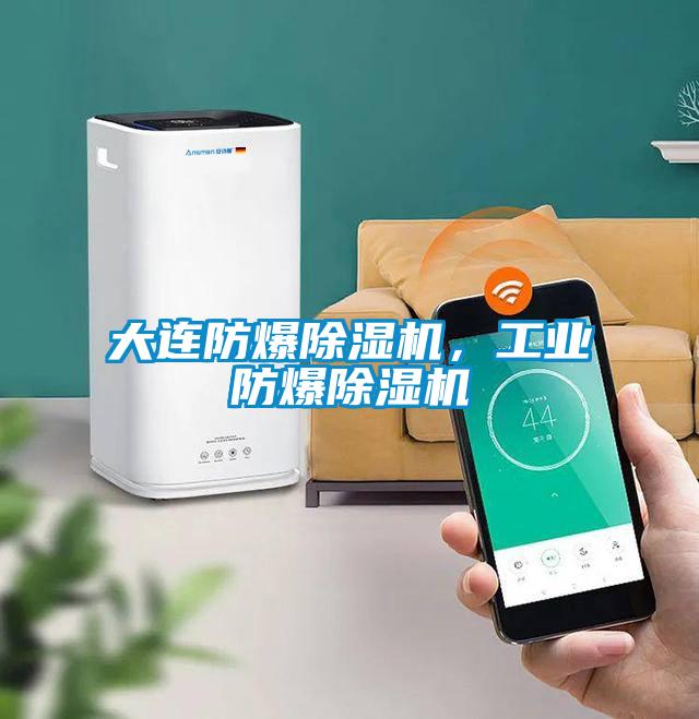 大連防爆除濕機(jī)，工業(yè)防爆除濕機(jī)