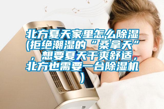 北方夏天家里怎么除濕(拒絕潮濕的“桑拿天”，想要夏天干爽舒適，北方也需要一臺除濕機)