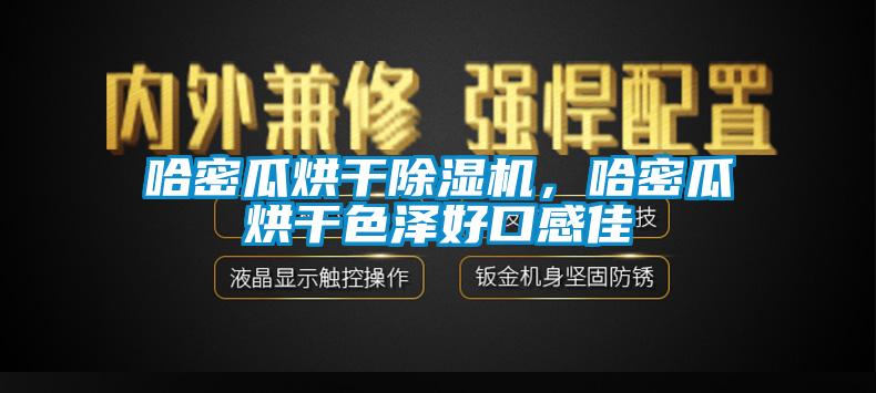 哈密瓜烘干除濕機(jī)，哈密瓜烘干色澤好口感佳