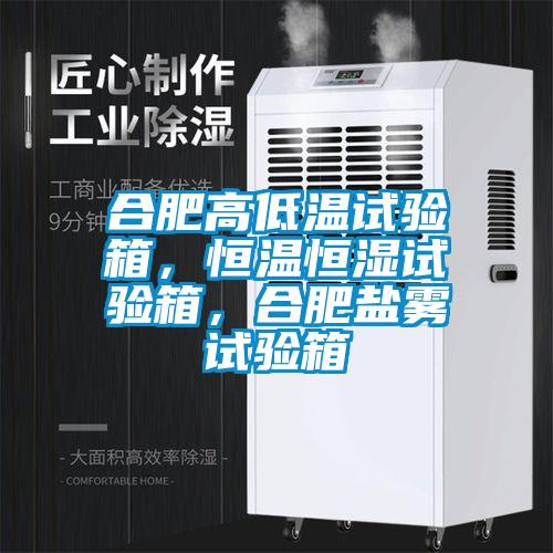 合肥高低溫試驗(yàn)箱，恒溫恒濕試驗(yàn)箱，合肥鹽霧試驗(yàn)箱