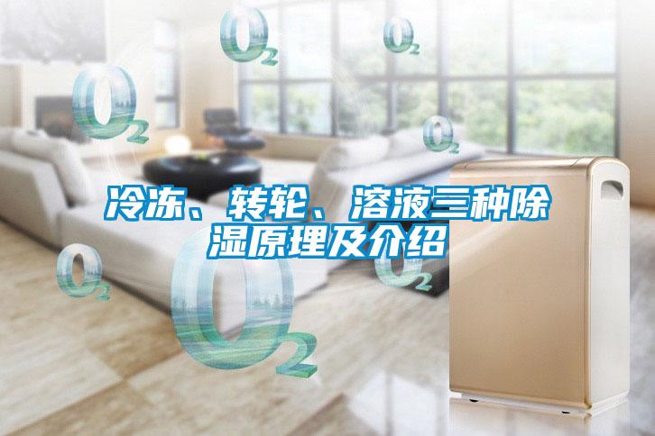 冷凍、轉(zhuǎn)輪、溶液三種除濕原理及介紹