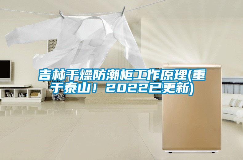 吉林干燥防潮柜工作原理(重于泰山！2022已更新)