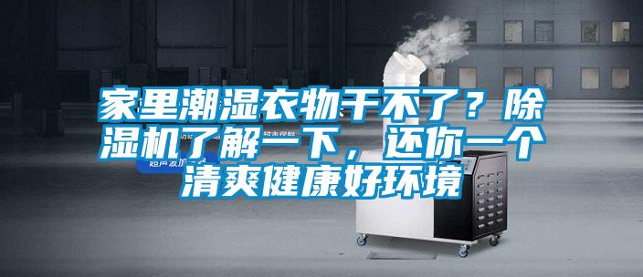 家里潮濕衣物干不了？除濕機了解一下，還你一個清爽健康好環(huán)境