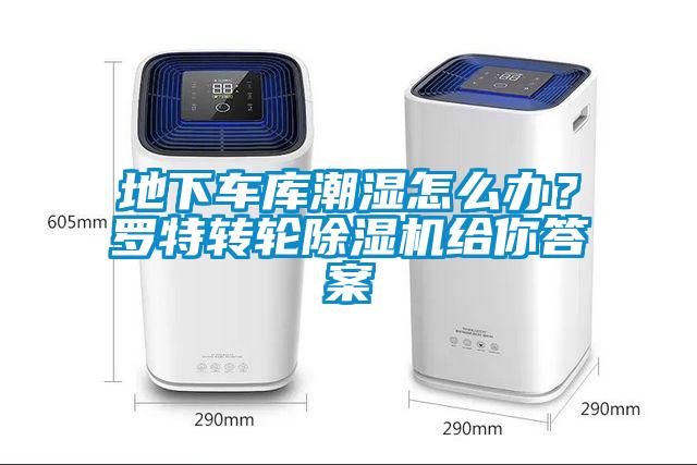 地下車庫潮濕怎么辦？羅特轉(zhuǎn)輪除濕機(jī)給你答案
