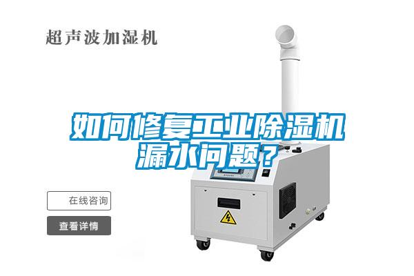 如何修復(fù)工業(yè)除濕機(jī)漏水問題？