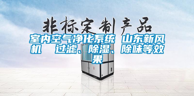 室內(nèi)空氣凈化系統(tǒng) 山東新風(fēng)機(jī)  過(guò)濾、除濕、除味等效果