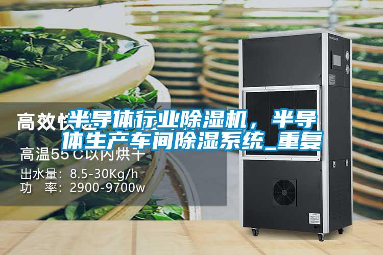 半導(dǎo)體行業(yè)除濕機(jī)，半導(dǎo)體生產(chǎn)車間除濕系統(tǒng)_重復(fù)