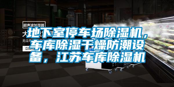地下室停車場除濕機，車庫除濕干燥防潮設備，江蘇車庫除濕機