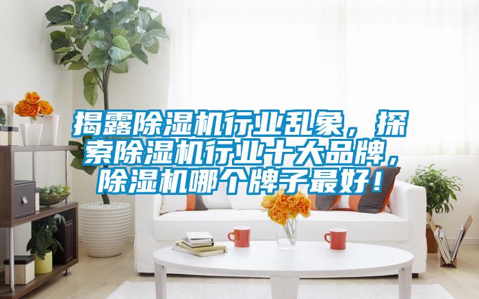 揭露除濕機(jī)行業(yè)亂象，探索除濕機(jī)行業(yè)十大品牌，除濕機(jī)哪個(gè)牌子最好！