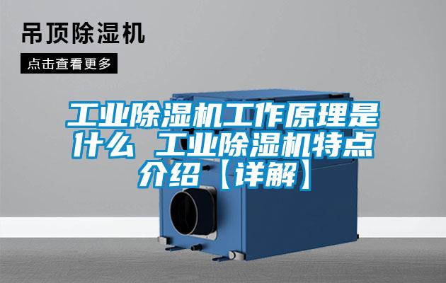 工業(yè)除濕機(jī)工作原理是什么 工業(yè)除濕機(jī)特點介紹【詳解】