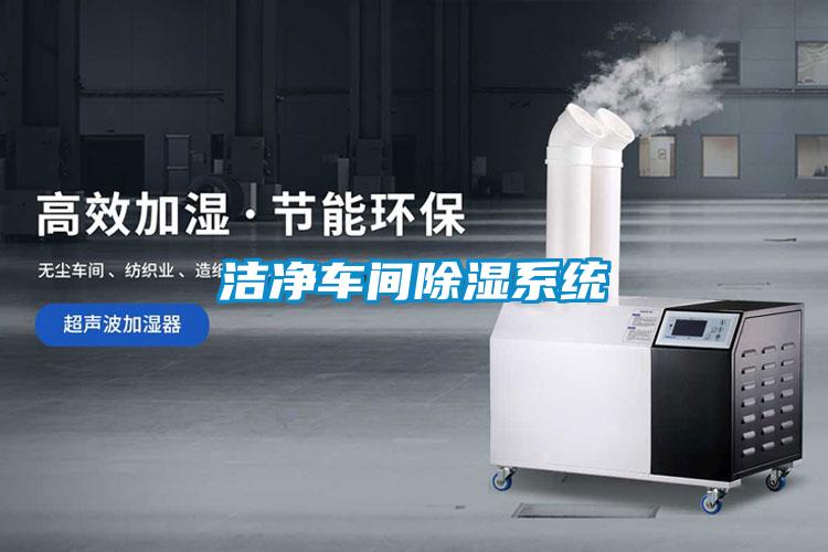 潔凈車(chē)間除濕系統(tǒng)