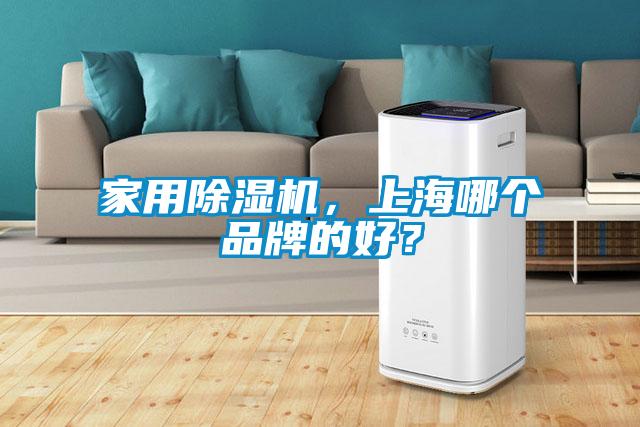 家用除濕機，上海哪個品牌的好？