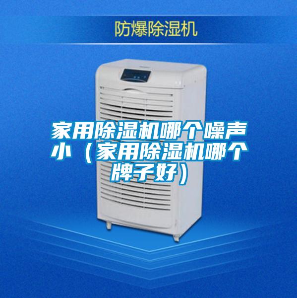 家用除濕機(jī)哪個噪聲?。矣贸凉駲C(jī)哪個牌子好）
