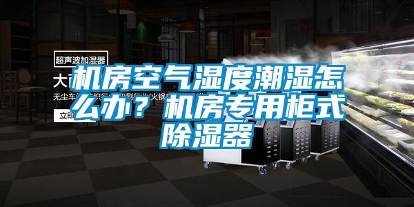 機房空氣濕度潮濕怎么辦？機房專用柜式除濕器
