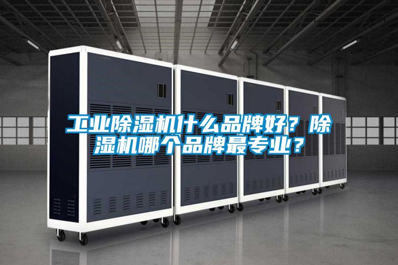 工業(yè)除濕機(jī)什么品牌好？除濕機(jī)哪個品牌最專業(yè)？