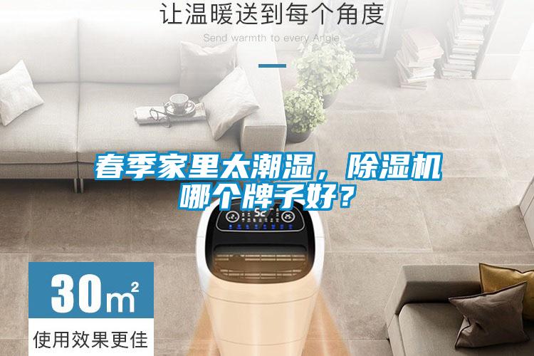 春季家里太潮濕，除濕機(jī)哪個(gè)牌子好？