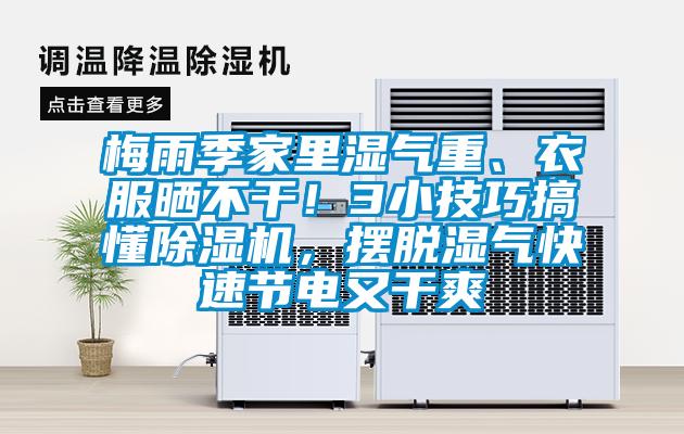 梅雨季家里濕氣重、衣服曬不干！3小技巧搞懂除濕機，擺脫濕氣快速節(jié)電又干爽