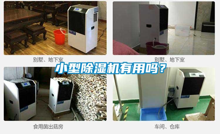 小型除濕機有用嗎？