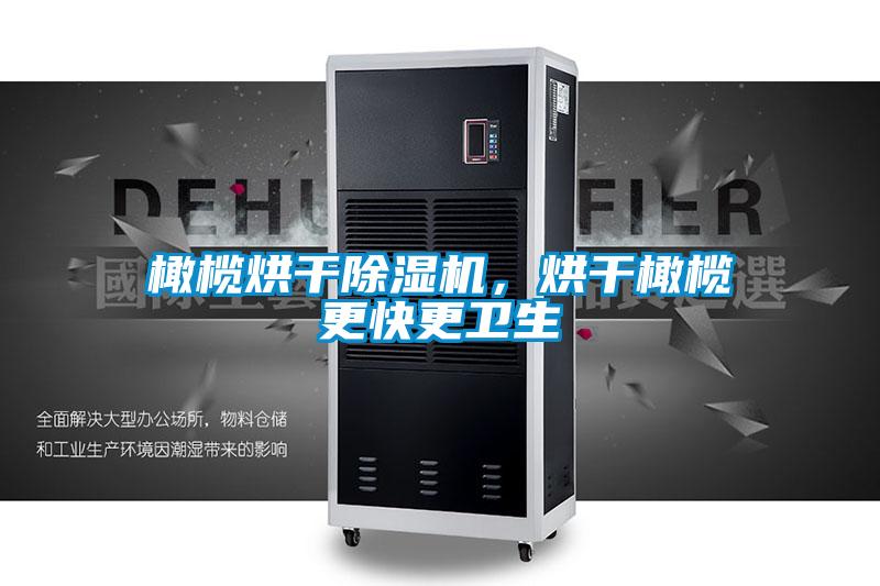 橄欖烘干除濕機，烘干橄欖更快更衛(wèi)生
