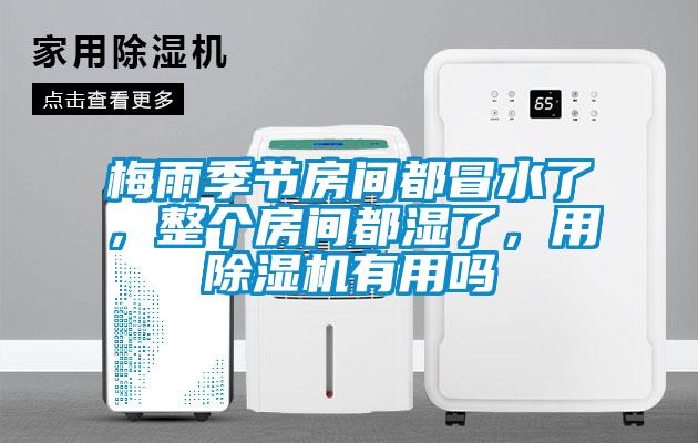 梅雨季節(jié)房間都冒水了，整個(gè)房間都濕了，用除濕機(jī)有用嗎