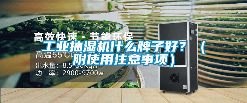 工業(yè)抽濕機什么牌子好？（附使用注意事項）
