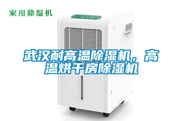 武漢耐高溫除濕機，高溫烘干房除濕機