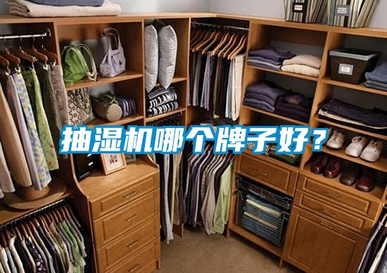 抽濕機(jī)哪個牌子好？