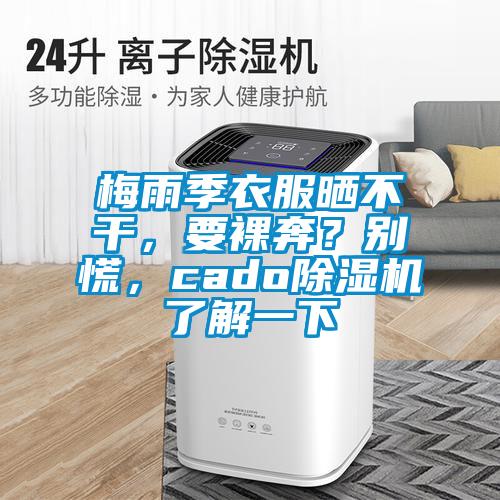 梅雨季衣服曬不干，要裸奔？別慌，cado除濕機(jī)了解一下