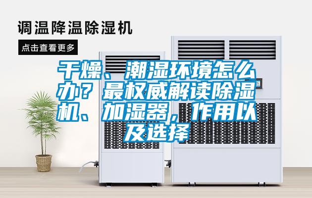 干燥、潮濕環(huán)境怎么辦？最權(quán)威解讀除濕機(jī)、加濕器，作用以及選擇