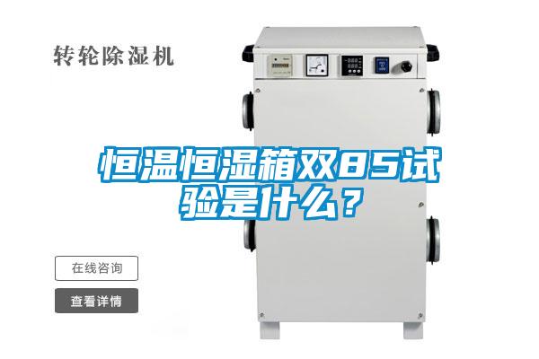 恒溫恒濕箱雙85試驗(yàn)是什么？