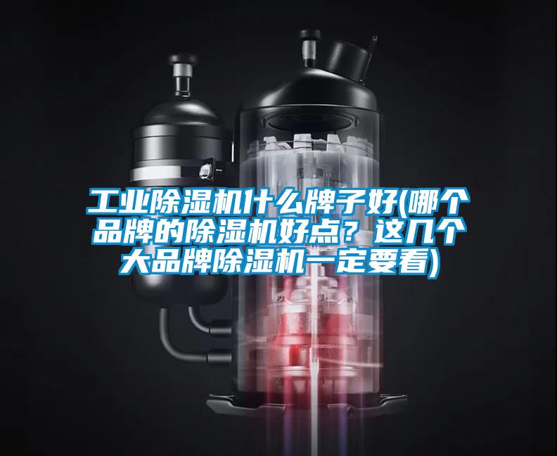 工業(yè)除濕機(jī)什么牌子好(哪個(gè)品牌的除濕機(jī)好點(diǎn)？這幾個(gè)大品牌除濕機(jī)一定要看)