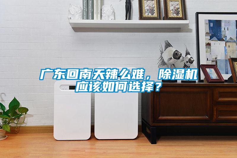廣東回南天辣么難，除濕機(jī)應(yīng)該如何選擇？