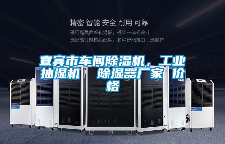 宜賓市車(chē)間除濕機(jī)，工業(yè)抽濕機(jī)  除濕器廠家 價(jià)格