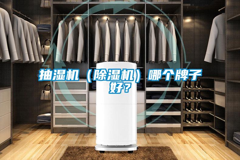 抽濕機(jī)（除濕機(jī)）哪個牌子好？