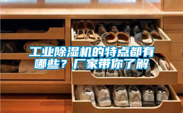 工業(yè)除濕機(jī)的特點(diǎn)都有哪些？廠家?guī)懔私?/></p>
						    <p style=