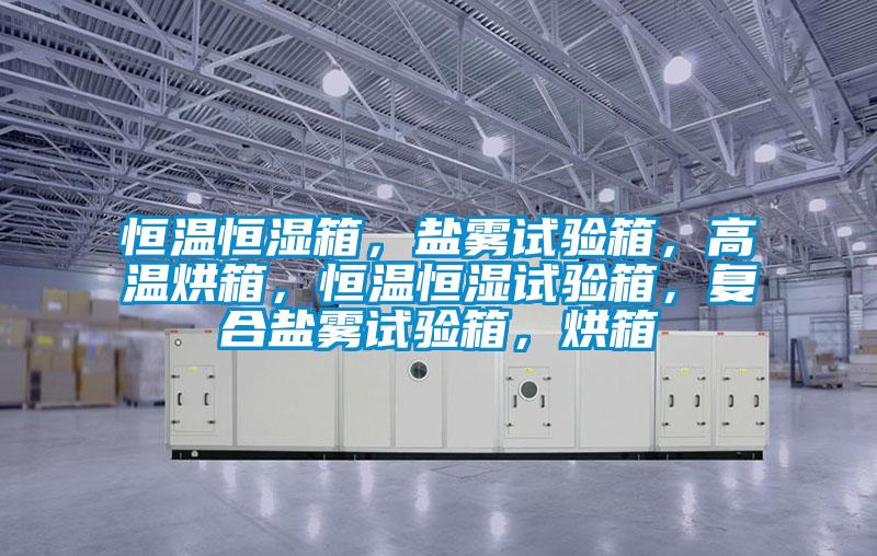 恒溫恒濕箱，鹽霧試驗(yàn)箱，高溫烘箱，恒溫恒濕試驗(yàn)箱，復(fù)合鹽霧試驗(yàn)箱，烘箱