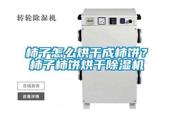 柿子怎么烘干成柿餅？柿子柿餅烘干除濕機(jī)