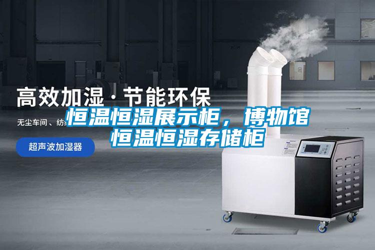 恒溫恒濕展示柜，博物館恒溫恒濕存儲(chǔ)柜