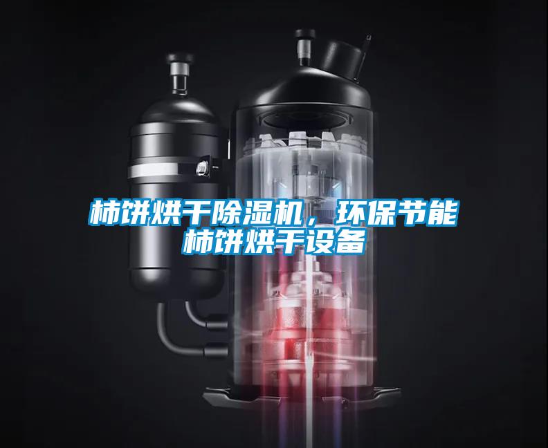 柿餅烘干除濕機(jī)，環(huán)保節(jié)能柿餅烘干設(shè)備