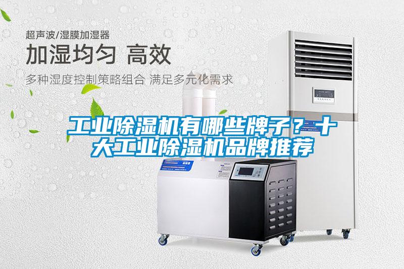 工業除濕機有哪些牌子？十大工業除濕機品牌推薦