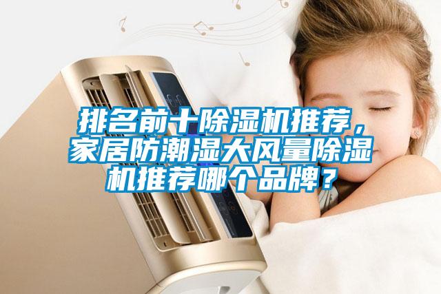 排名前十除濕機(jī)推薦，家居防潮濕大風(fēng)量除濕機(jī)推薦哪個(gè)品牌？
