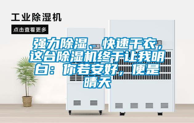 強(qiáng)力除濕、快速干衣，這臺(tái)除濕機(jī)終于讓我明白：你若安好，便是晴天