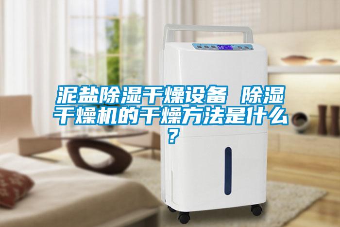 泥鹽除濕干燥設(shè)備 除濕干燥機(jī)的干燥方法是什么？