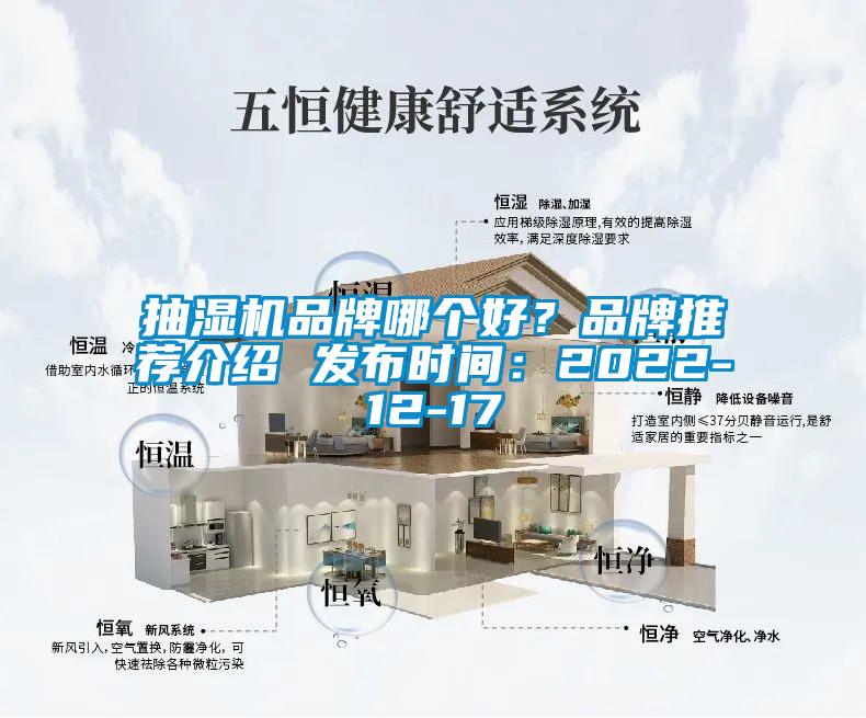 抽濕機品牌哪個好？品牌推薦介紹 發(fā)布時間：2022-12-17