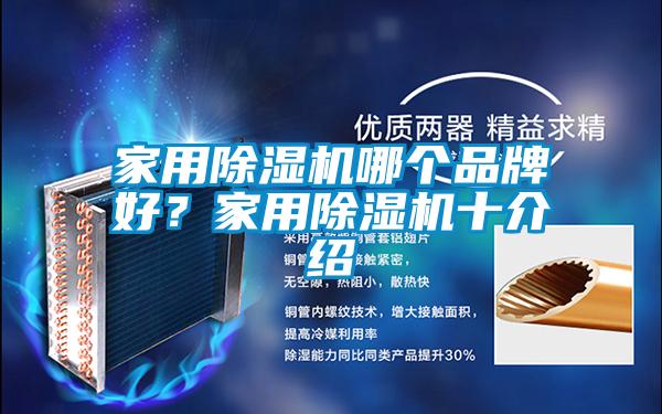 家用除濕機哪個品牌好？家用除濕機十介紹